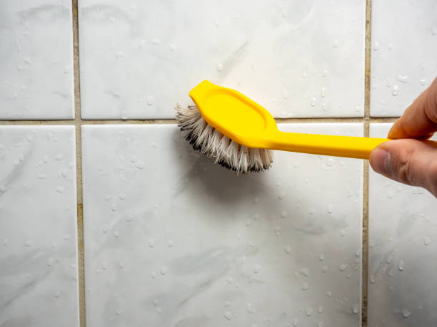 Best Attic Mold Removal  in Corralitos, CA